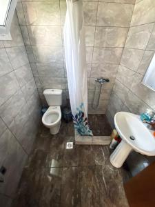 PalaiochórionΣπίτι στα Έλατα的带马桶和水槽的浴室