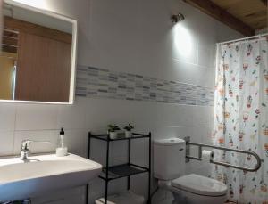 a bathroom with a sink and a toilet and a mirror at La casona del Pantano in Los Campos +31 photos