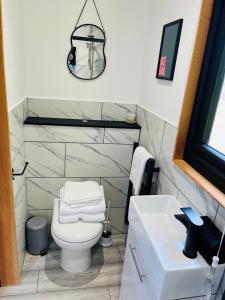 a bathroom with a white toilet and a sink at The Burds Nest in West Hatch +12 photos