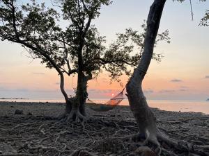 two trees with a hammock between them on a beach at Koh Chang Bailan Beach Resort in Ko Chang