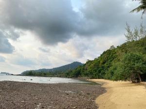 a sandy beach with trees on the side of the water at Koh Chang Bailan Beach Resort in Ko Chang