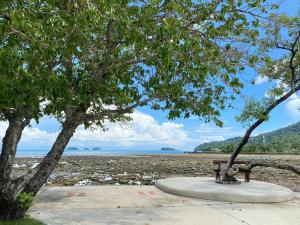 a park bench sitting under a tree next to a beach at Koh Chang Bailan Beach Resort in Ko Chang