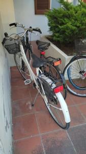 a bike with a basket parked next to a wall at Villetta Moro Mesele in Lido di Jesolo