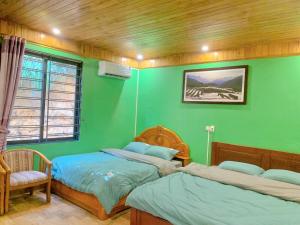 a green bedroom with two beds and a chair at Thanh Truc House in Sa Pa