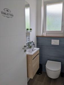 a bathroom with a toilet and a sink and a window at Gîte La Planquette in Puygouzon +9 photos