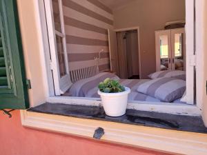 une plante en pot posée sur le rebord d'une fenêtre dans l'établissement Terrazza nel centro storico, à Rapallo