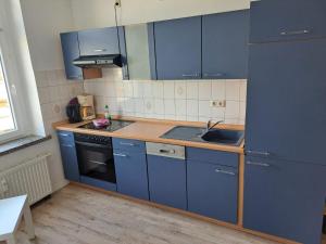 a kitchen with blue cabinets and a sink at Stellas Monteurwohnungen in Crimmitschau +10 photos