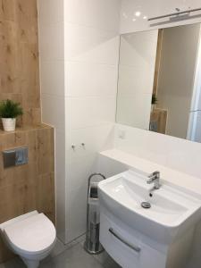 a bathroom with a white sink and a toilet at Apartament Leśna in Bydgoszcz