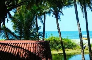Paisagem natural perto do resort