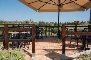 蒙特普齐亚诺Tuscany Living - Terra Antica的相册照片