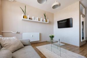 TV in/ali zabaviščno središče v nastanitvi Vimini Apartman