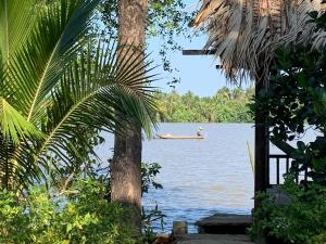 a person in a boat on the water at Nam Binh Homestay in Ben Tre