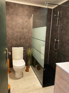 a bathroom with a toilet and a shower at La Butinerie in Baron