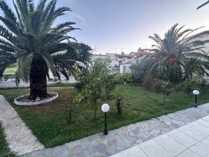 a garden with palm trees and lights on the grass at Jo's Studios in Myrina