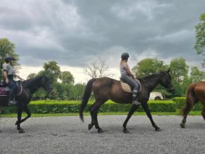 two people riding on horses on a road at Chateau de Wallay - La grande Ferme in Ohey