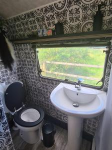 a bathroom with a toilet and a sink and a window at Squirrel Tails in Endon