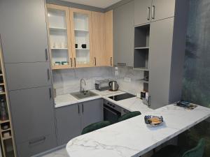 Cuina o zona de cuina de Bulevar lux Čačak