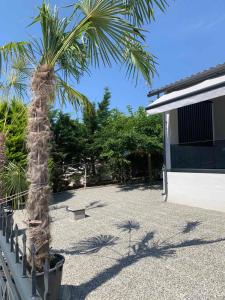 Gallery image of Villa THEO in Kallithea Halkidikis +26 photos