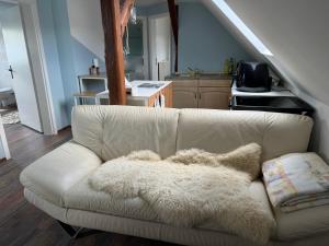 Gallery image of FeWo Traumblick in Sollstedt