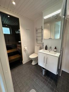 a bathroom with a white sink and a toilet at Apartment Ahkiomaantie in Rovaniemi +23 photos