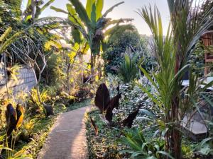 Buntera Homestay Sidemen外面的花园