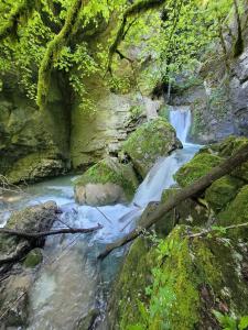 Billede fra billedgalleriet på Pied aigu i Rovon