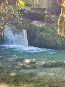 Billede fra billedgalleriet på Pied aigu i Rovon