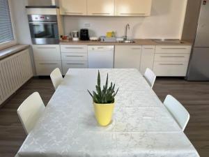 - une cuisine avec une table et une plante en pot dans l'établissement House in the Village, à Križevci pri Ljutomeru