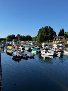 a group of boats are docked in a harbor at Woodlands House in Alexandria
