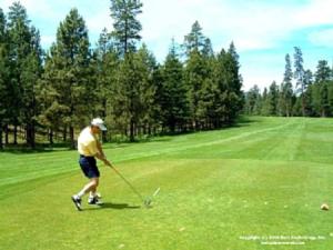 Golf v vily nebo okolí