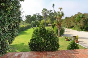 a garden with two bushes and palm trees at Casa Seahorses b in Sintra