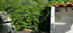 Galeriebild der Unterkunft Villa Margherita in Maratea