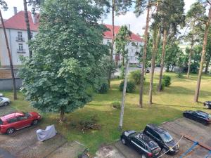 a group of cars parked next to a tree at Strzelce Queen in Strzelce Opolskie