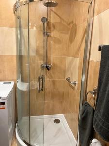 a shower with a glass door in a bathroom at Strzelce Queen in Strzelce Opolskie +13 photos
