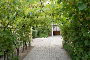 a brick walkway with trees and a building at Lugas Apartman in Harkány