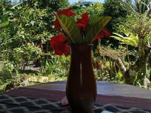 Buntera Homestay Sidemen外面的花园