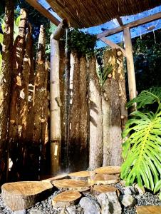 Gallery image of Chapola Home in Guarne +39 photos
