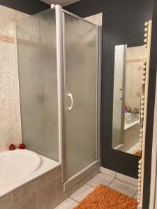 a bathroom with a shower and a tub and a shower at Chambre chez l'habitant au calme avec piscinne in Le Bouscat