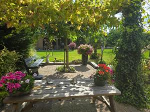 Zahrada ubytování B&B WELKOM Zierikzee