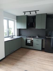 a kitchen with green cabinets and a stove top oven at Cracow house under walnut tree in Krakow +8 photos