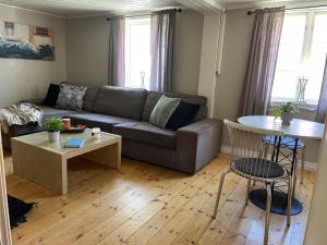 ein Wohnzimmer mit Sofa und Tisch in der Unterkunft Stathelle Heritage Retreat Apartment in Bamble
