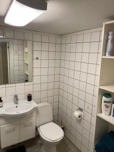 ein Badezimmer mit Toilette und Waschbecken in der Unterkunft Stathelle Heritage Retreat Apartment in Bamble