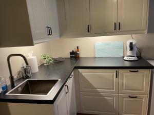 eine Küche mit weißen Schränken und einer Spüle in der Unterkunft Stathelle Heritage Retreat Apartment in Bamble + 5 Fotos