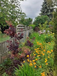 a garden with a fence and a bunch of flowers at Les Oiseaux chambre d'hôtes in Saint-Florent-sur-Cher