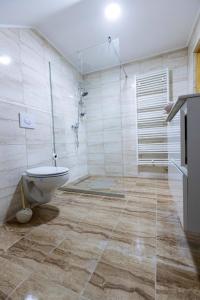 ein Badezimmer mit Dusche und Toilette in der Unterkunft One-bedroom apartment with terrace in Darda