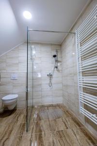 ein Badezimmer mit Dusche und Toilette in der Unterkunft One-bedroom apartment with terrace in Darda
