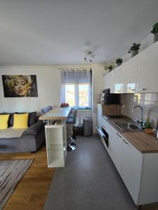 Kuchyň nebo kuchyňský kout v ubytování EDIK