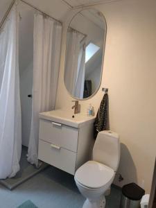 een badkamer met een wit toilet en een spiegel bij Rummelig lejlighed - i Dronninglund in Dronninglund