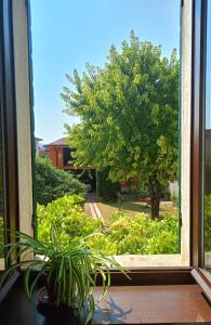 Zahrada ubytování Corte L'Ovo - Country House 15 minutes from the heart of Verona