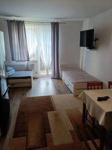 Μια τηλεόραση ή/και κέντρο ψυχαγωγίας στο Apartament Przylesie